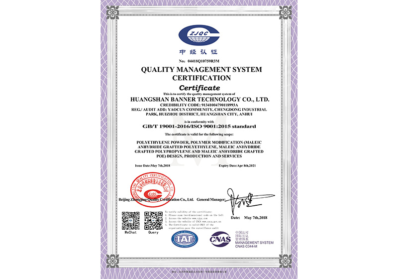 Environmental management system certification and safety certification